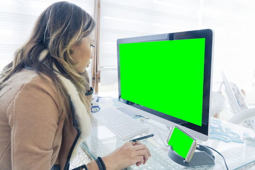 大专计算机软件开发专业 核心课程与技能培养全解析